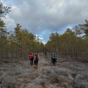 Kirna - Madisemäe 12km ring