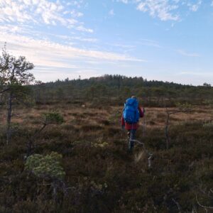 Soosaare rabasaar - 10km ring